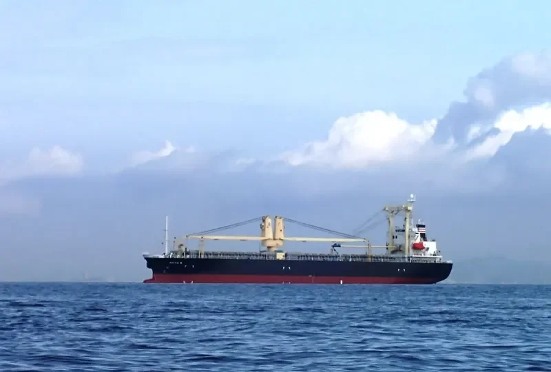 JIA HONG General Cargo IMO 9278947 photo 7
