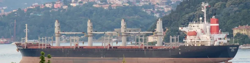 EAST WIND I Bulk Carrier IMO 9278973 photo 2