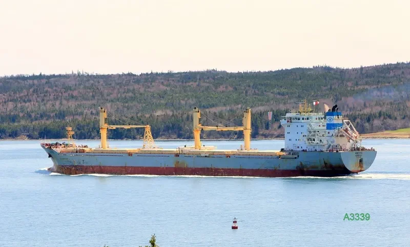 NETTE General Cargo IMO 9279094