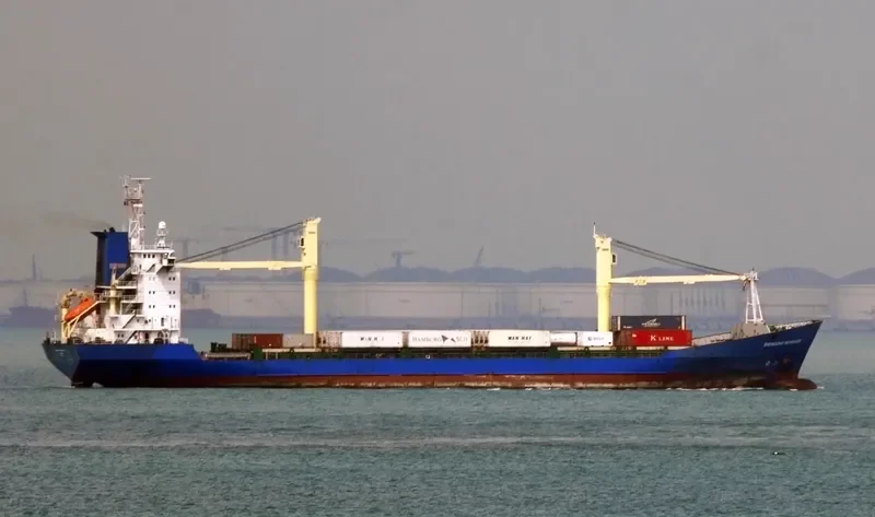 BIENDONG MARINER Container Ship IMO 9279214 photo 6
