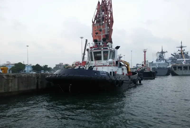 SEALION APEX General Cargo IMO 9279290