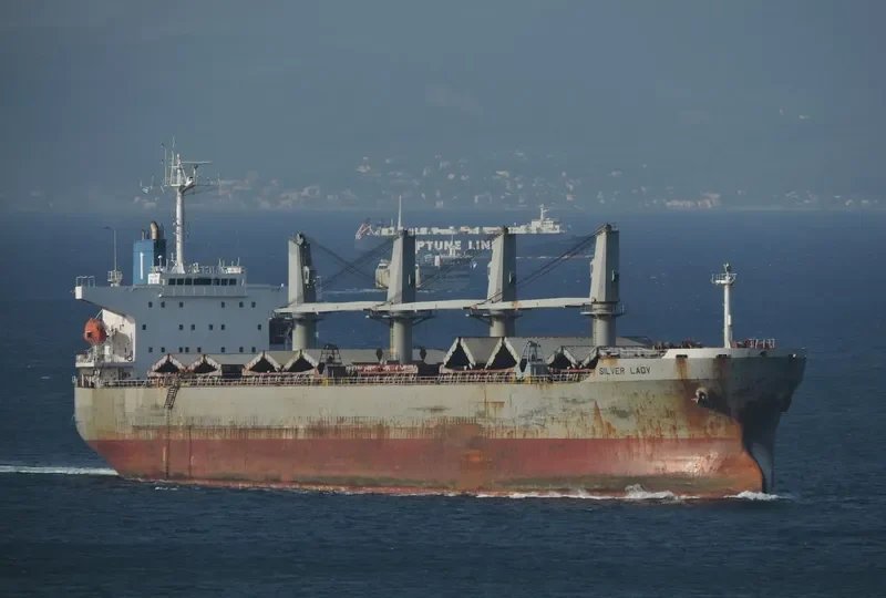 SILVER LADY Bulk Carrier IMO 9279367 photo 2