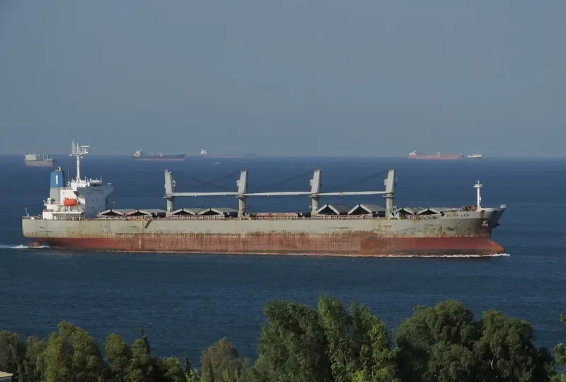SILVER LADY Bulk Carrier IMO 9279367 photo 3