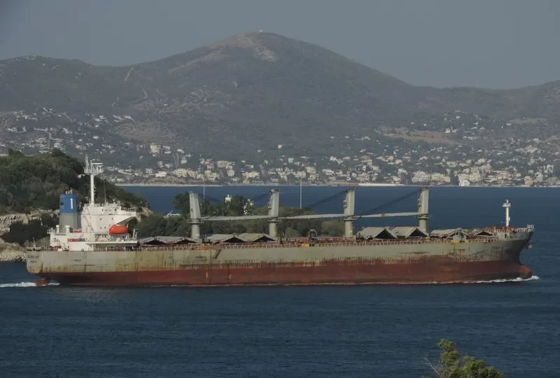 SILVER LADY Bulk Carrier IMO 9279367 photo 4