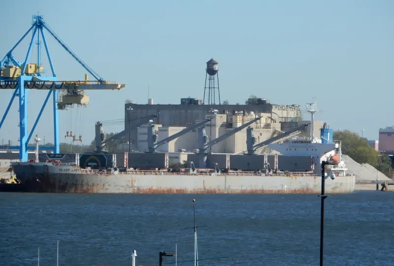 SILVER LADY Bulk Carrier IMO 9279367 photo 6