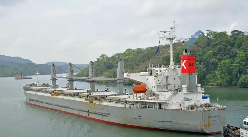 SILVER LADY Bulk Carrier IMO 9279367 photo 7