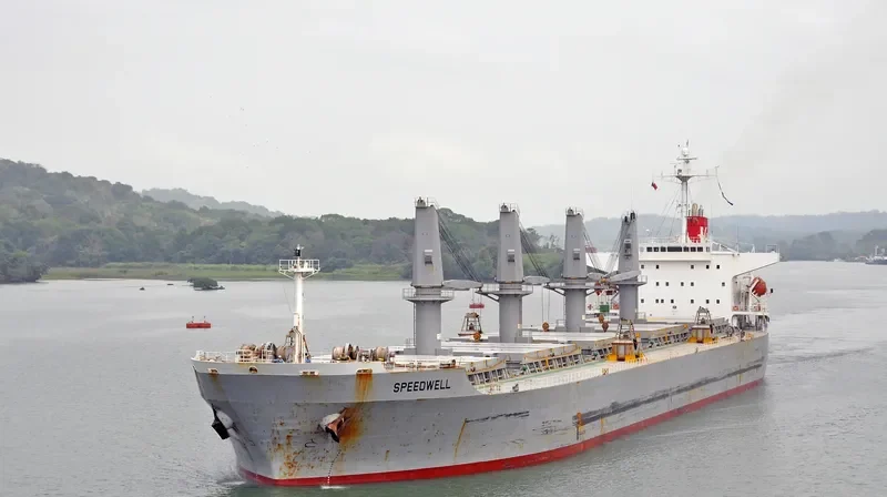 SILVER LADY Bulk Carrier IMO 9279367 photo 8