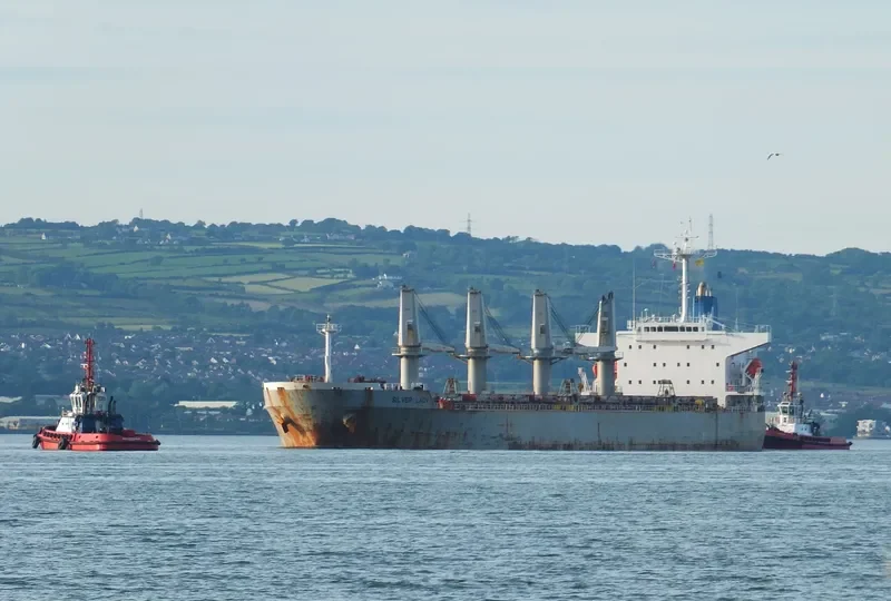 SILVER LADY Bulk Carrier IMO 9279367 photo 9