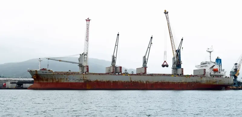 SILVER LADY Bulk Carrier IMO 9279367 photo 10