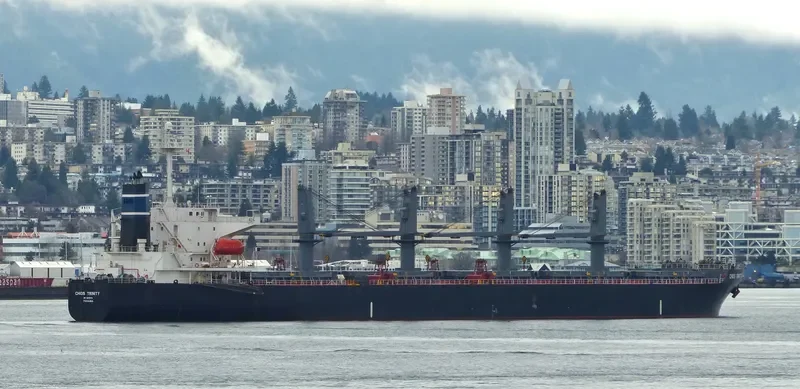 CHIOS TRINITY Bulk Carrier IMO 9279379 photo 9
