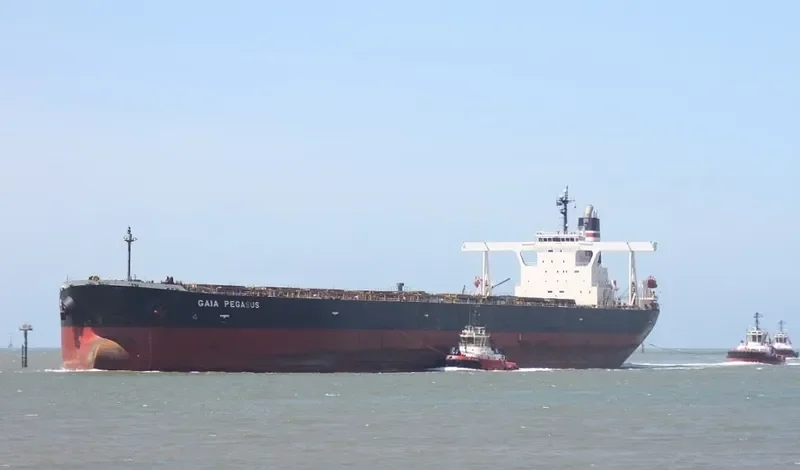 WINNING EXCELLENCE Bulk Carrier IMO 9279393 photo 2