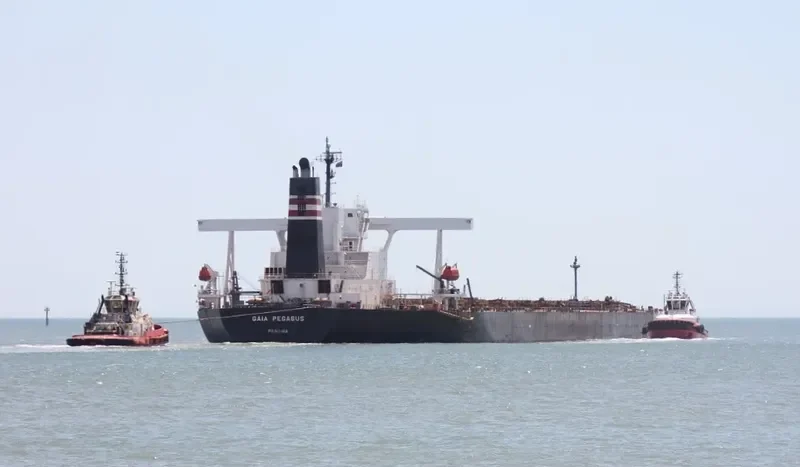 WINNING EXCELLENCE Bulk Carrier IMO 9279393 photo 4