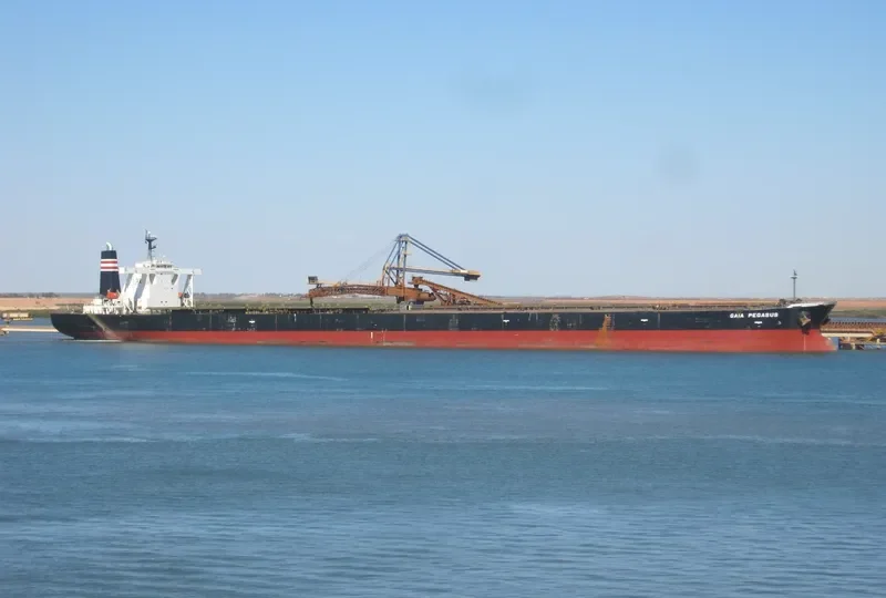 WINNING EXCELLENCE Bulk Carrier IMO 9279393 photo 5