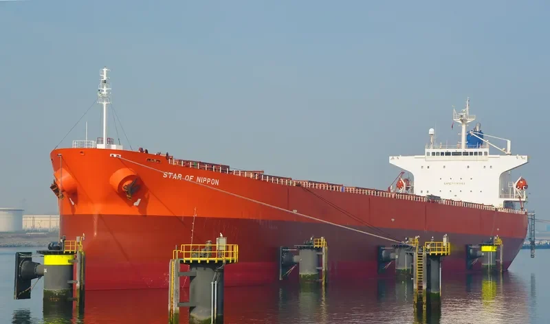 STARLIGHT Bulk Carrier IMO 9279484 photo 3