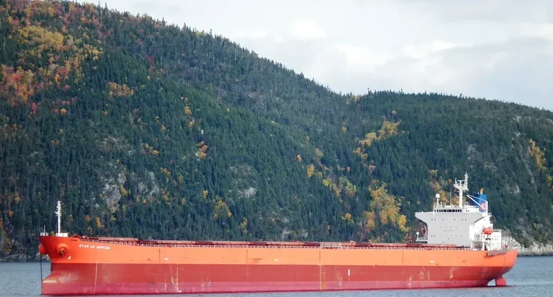STARLIGHT Bulk Carrier IMO 9279484 photo 4