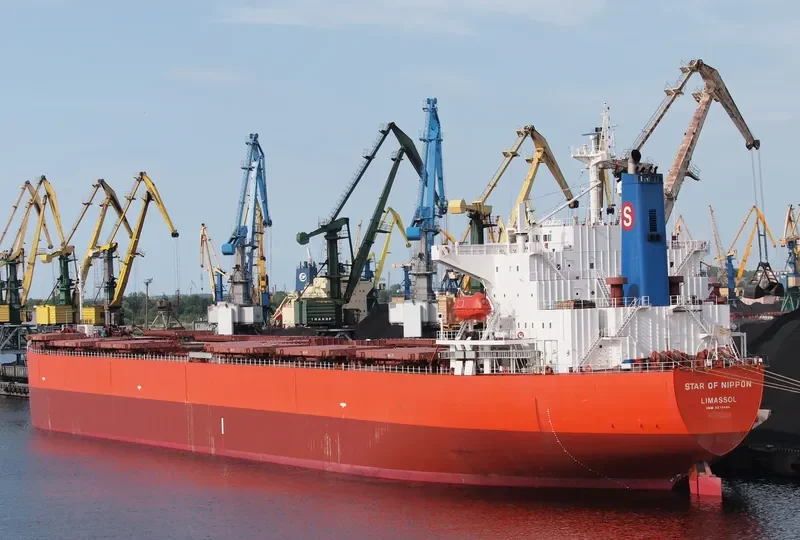 STARLIGHT Bulk Carrier IMO 9279484 photo 6