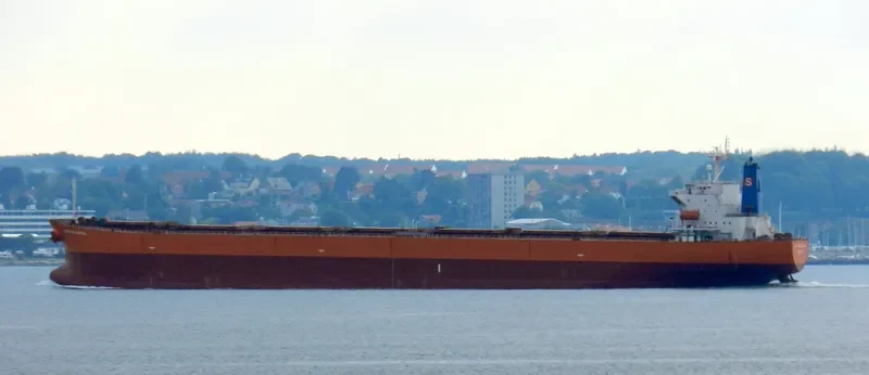 STARLIGHT Bulk Carrier IMO 9279484 photo 7