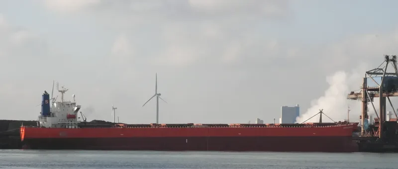 STARLIGHT Bulk Carrier IMO 9279484 photo 9