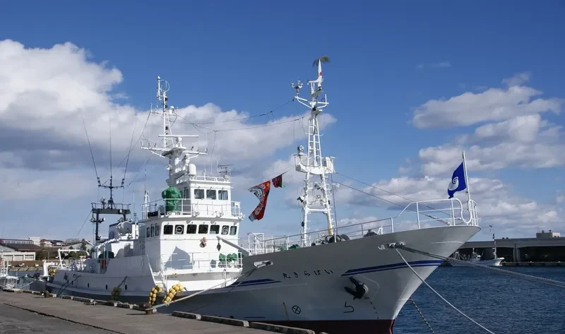 IBARAKI MARU General Cargo IMO 9279496