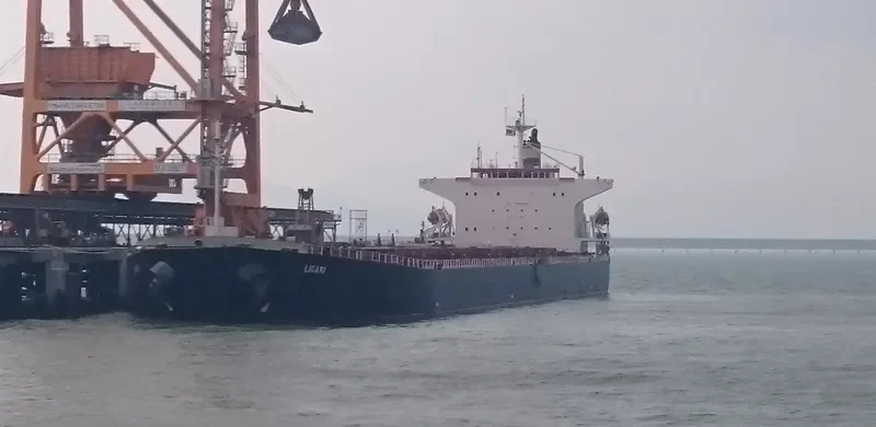 LIGARI Bulk Carrier IMO 9279513 photo 3