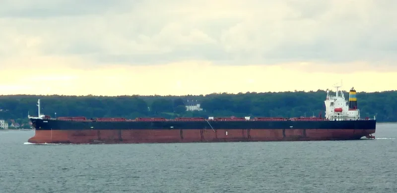 LIGARI Bulk Carrier IMO 9279513 photo 6
