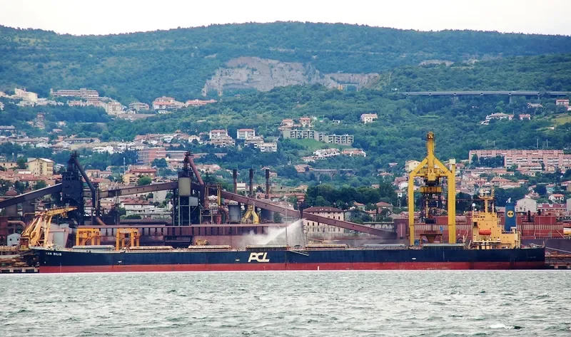 HC PIONEER Bulk Carrier IMO 9279525 photo 4