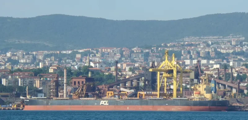 HC PIONEER Bulk Carrier IMO 9279525 photo 5