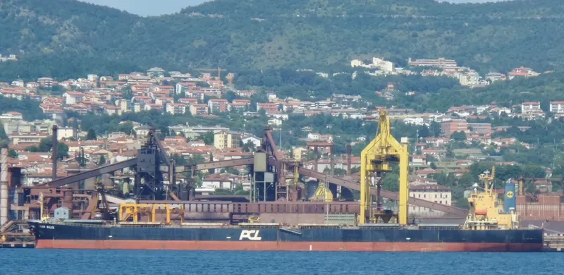 HC PIONEER Bulk Carrier IMO 9279525 photo 7