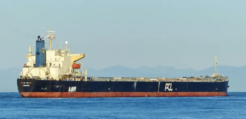 HC PIONEER Bulk Carrier IMO 9279525 photo 8