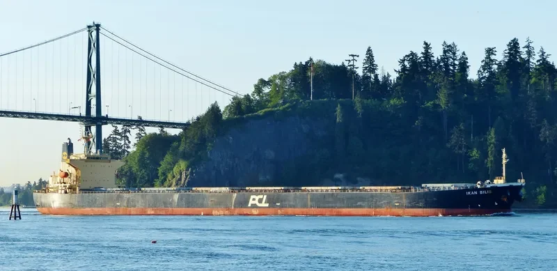 HC PIONEER Bulk Carrier IMO 9279525 photo 9