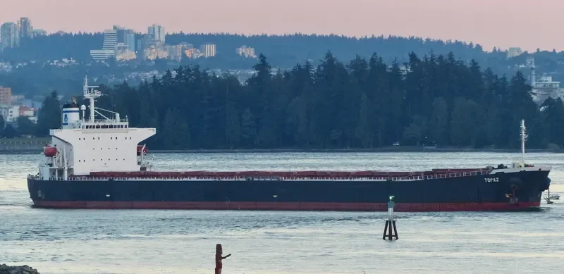 TOPAZ Bulk Carrier IMO 9279537
