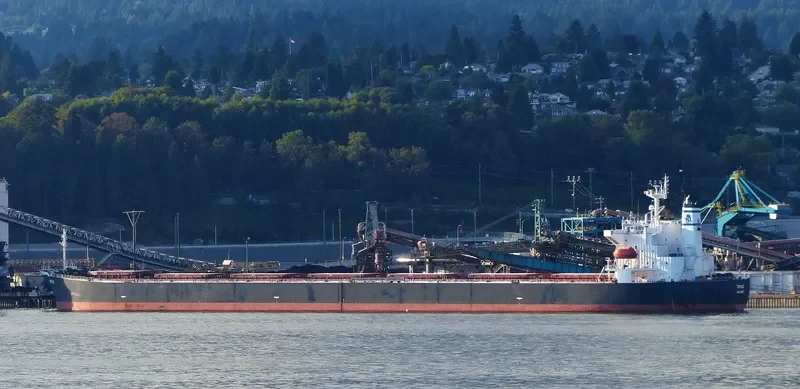 TOPAZ Bulk Carrier IMO 9279537 photo 2