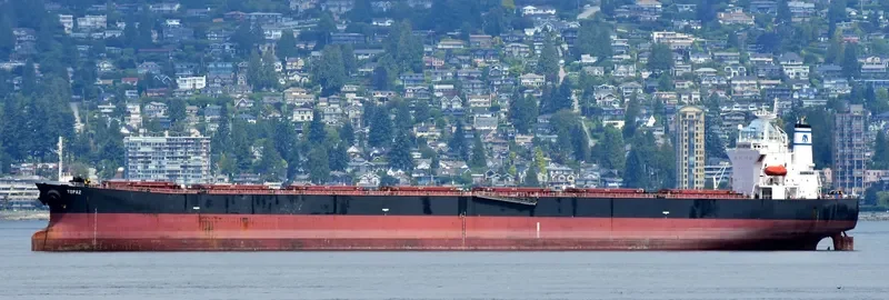TOPAZ Bulk Carrier IMO 9279537 photo 7