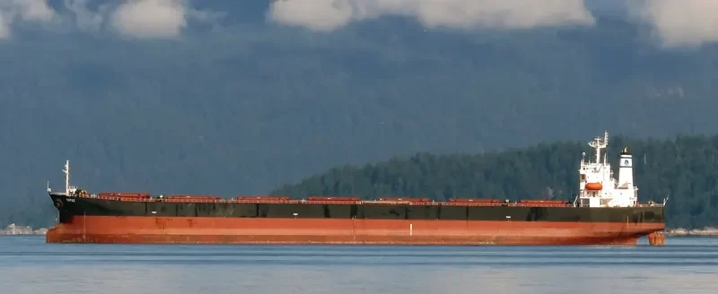 TOPAZ Bulk Carrier IMO 9279537 photo 10