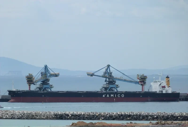 TEMPO LOONG Bulk Carrier IMO 9279549