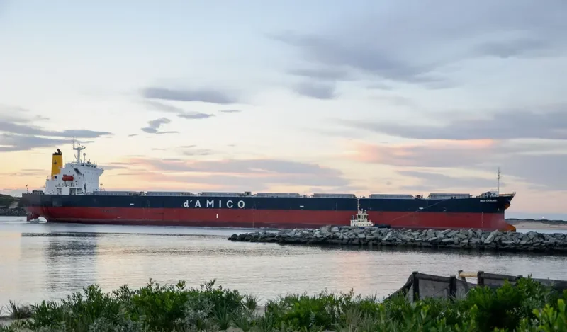 TEMPO LOONG Bulk Carrier IMO 9279549 photo 2