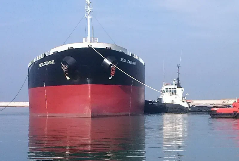TEMPO LOONG Bulk Carrier IMO 9279549 photo 3