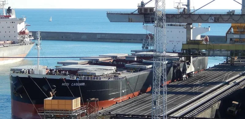 TEMPO LOONG Bulk Carrier IMO 9279549 photo 4