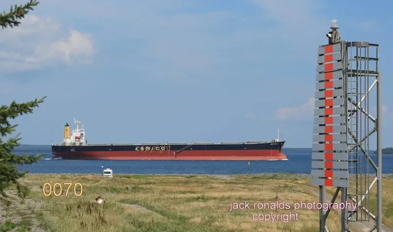TEMPO LOONG Bulk Carrier IMO 9279549 photo 6
