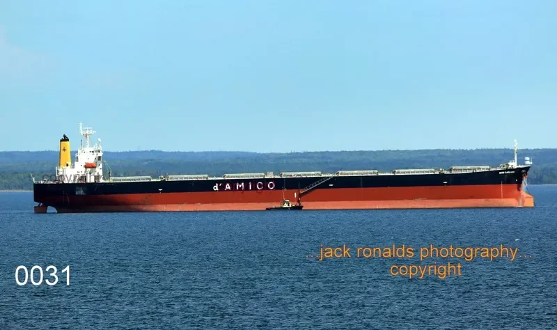 TEMPO LOONG Bulk Carrier IMO 9279549 photo 7