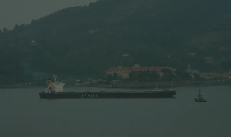 TEMPO LOONG Bulk Carrier IMO 9279549 photo 8