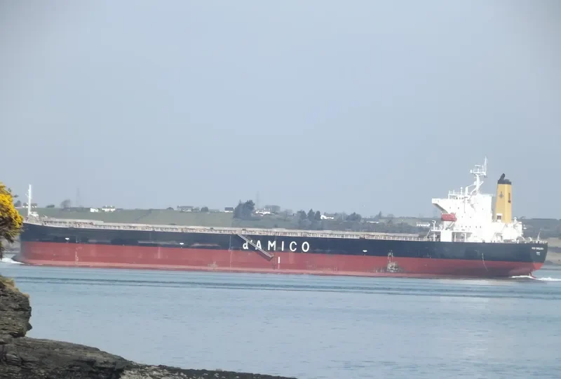 TEMPO LOONG Bulk Carrier IMO 9279549 photo 9