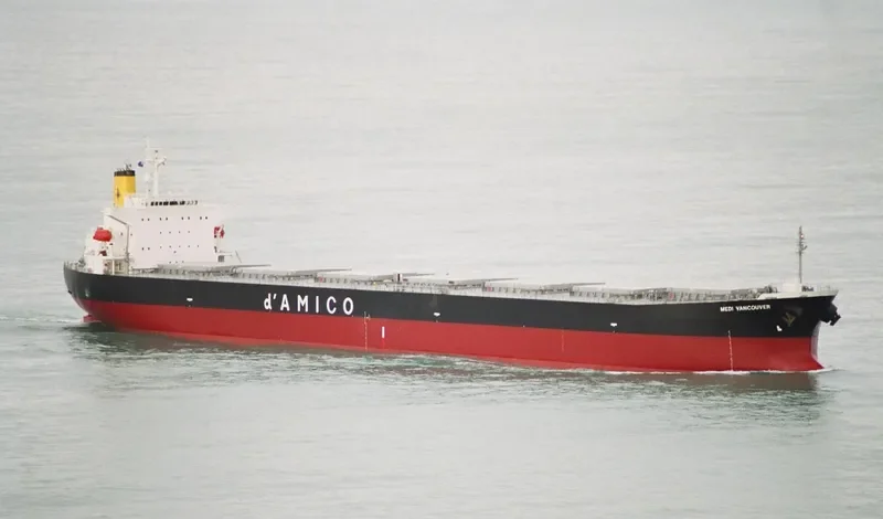TEMPO LOONG Bulk Carrier IMO 9279549 photo 10