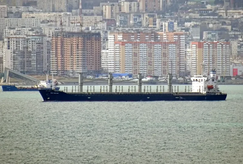 SEA BRAVE Bulk Carrier IMO 9279551