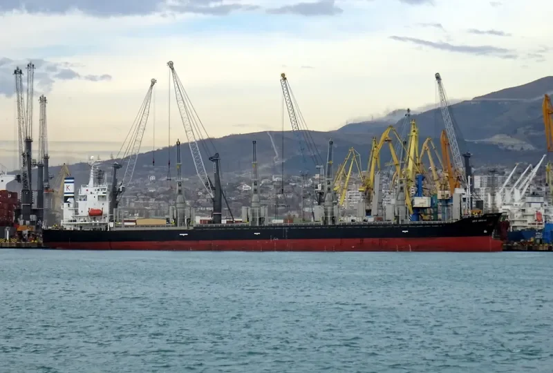 SEA BRAVE Bulk Carrier IMO 9279551 photo 3