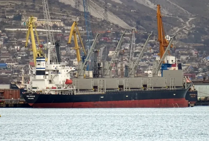 SEA BRAVE Bulk Carrier IMO 9279551 photo 4