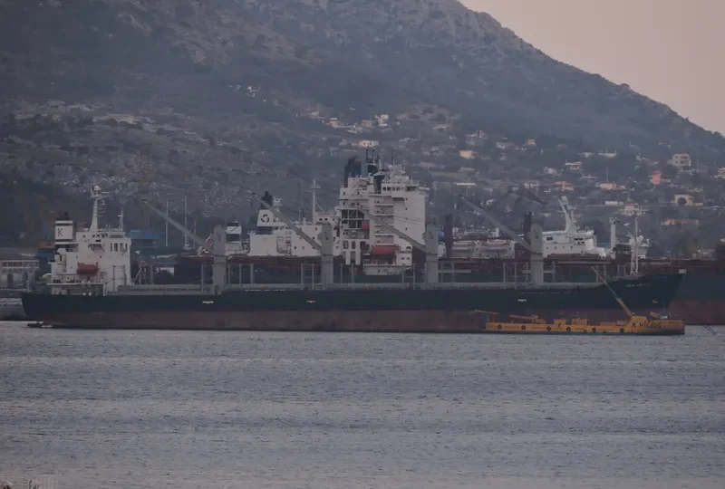 SEA BRAVE Bulk Carrier IMO 9279551 photo 5
