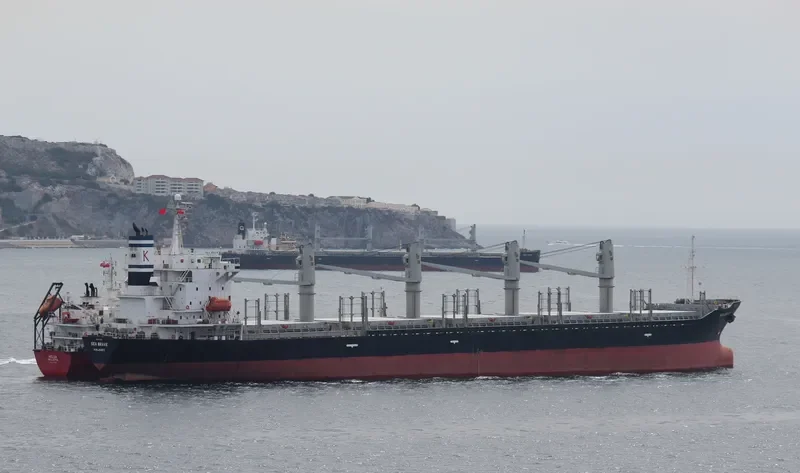 SEA BRAVE Bulk Carrier IMO 9279551 photo 6