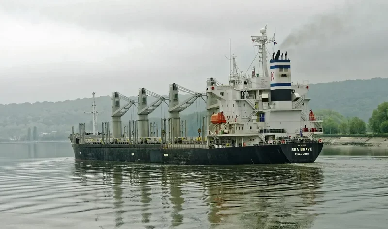 SEA BRAVE Bulk Carrier IMO 9279551 photo 10