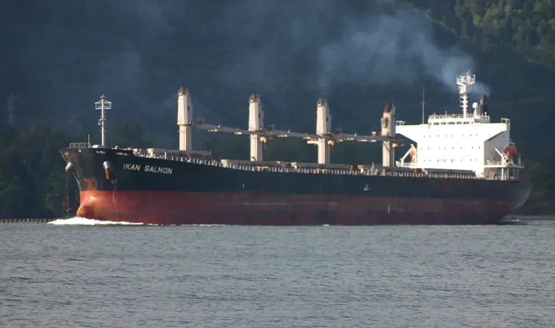 AM OCEAN PRIDE Bulk Carrier IMO 9279599 photo 4